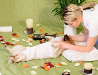 /album/fotogaleria/reiki-a-mascotas-3-jpg/